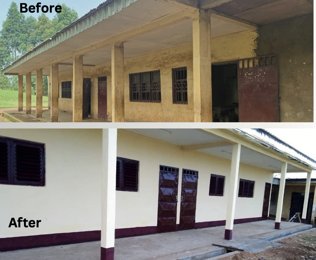 before and after school renovation bui division