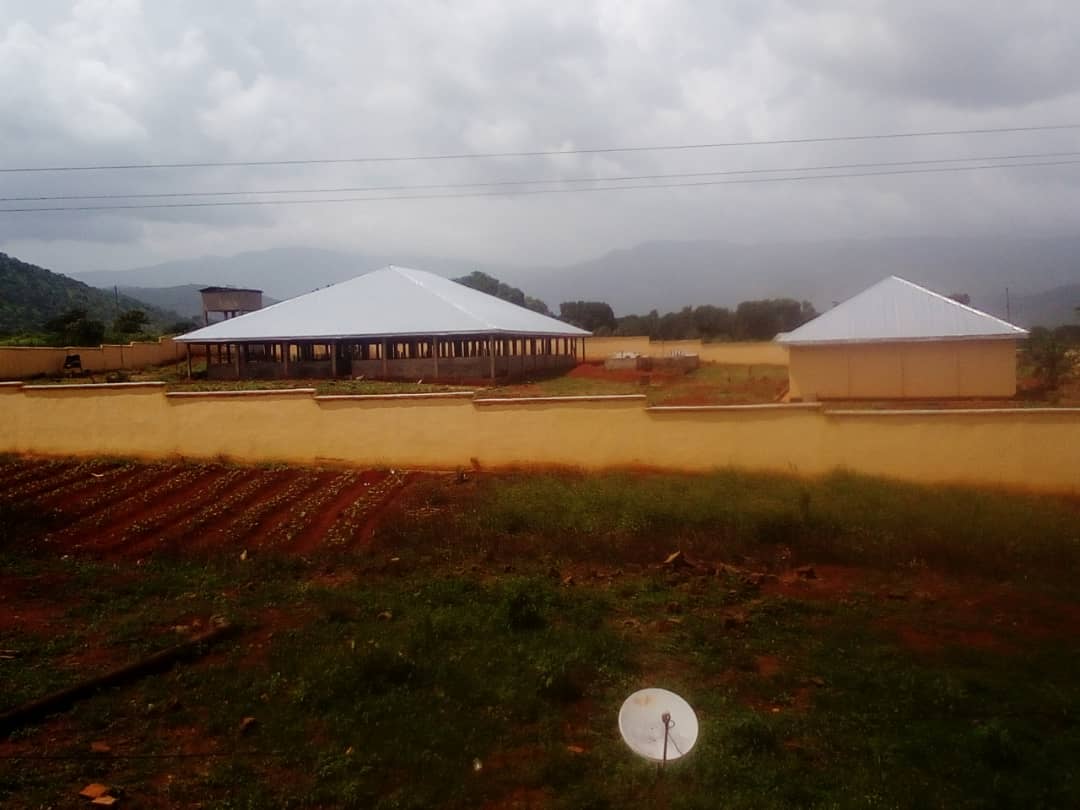 Morden fish farm at Babessi council Ngo-Ketunjia division